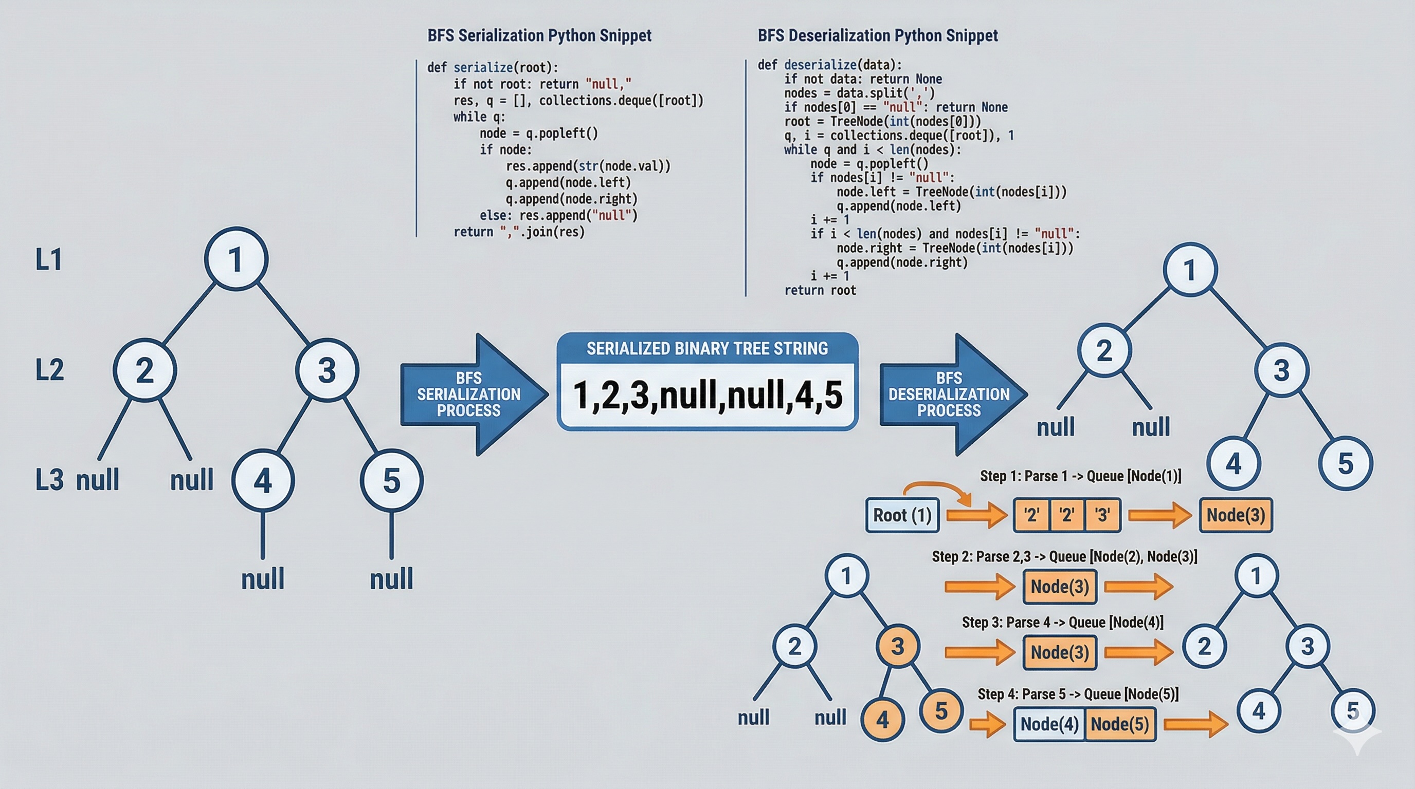 Code implementation of tree serialization with BFS and DFS